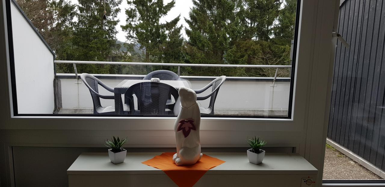 Appartement Brink Am Waltenberg 70 Winterberg Eksteriør billede