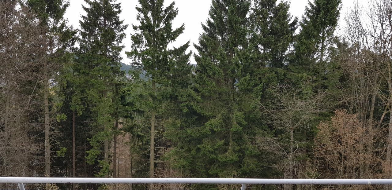 Appartement Brink Am Waltenberg 70 Winterberg Eksteriør billede